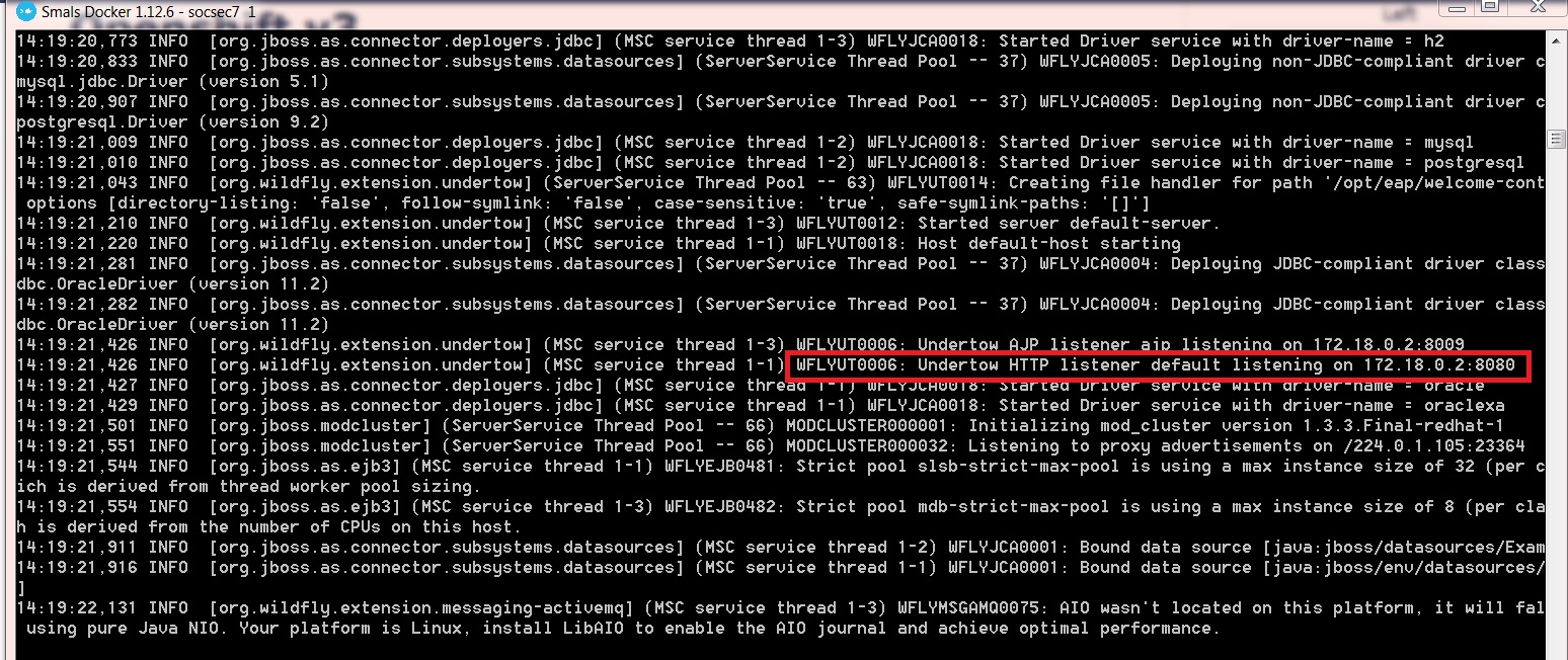Smals docker socsec7 1 started